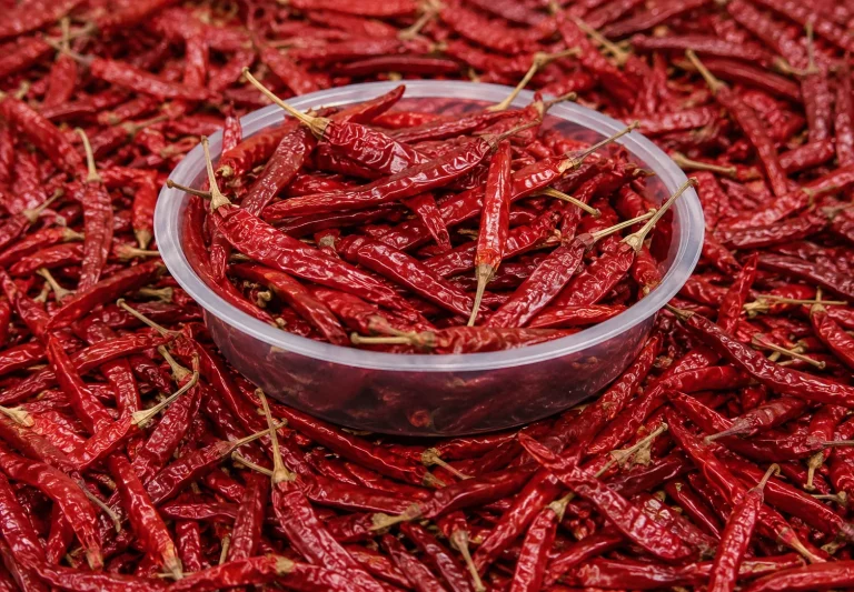 Premium S17 Teja Chilli – Bold Heat & Rich Flavour Whole Spice