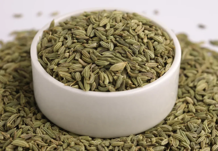 Premium Fennel Seeds – Naturally Sweet & Aromatic Whole Spice