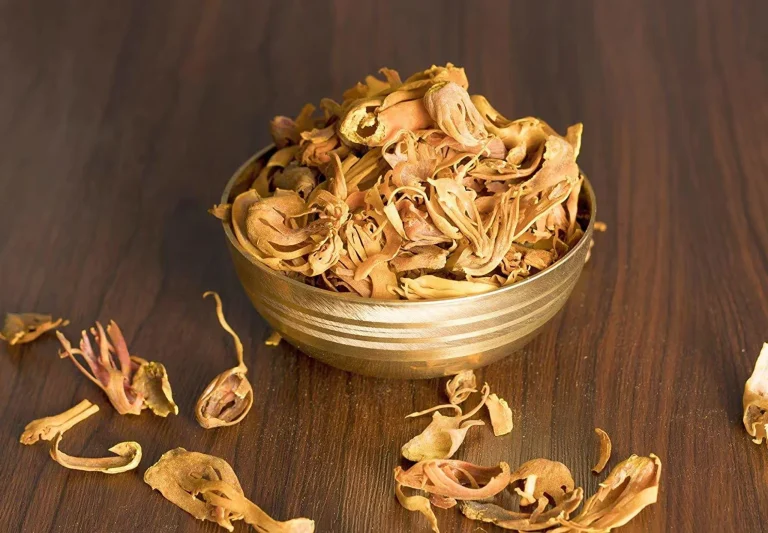 Premium Whole Mace – Naturally Aromatic Gourmet Spice