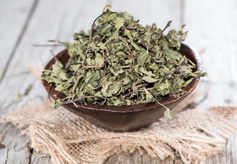 Premium Dried Mint Leaves – Naturally Refreshing Aromatic Herb