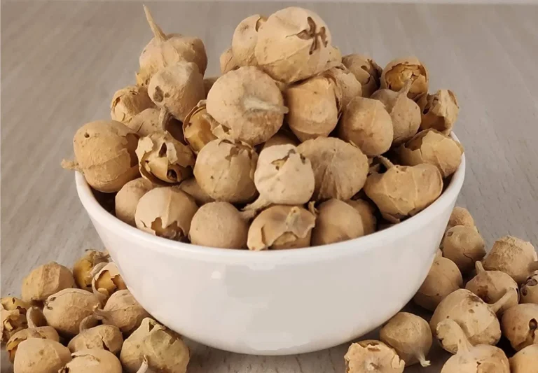 Premium Paneer Dodi – Naturally Selected Dried Herbal Ingredient