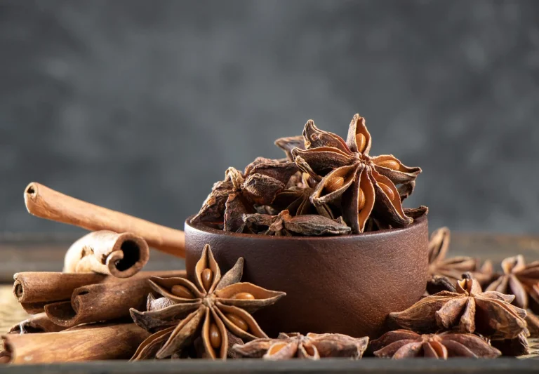 Premium Whole Star Anise – Naturally Aromatic & Distinctive Spice