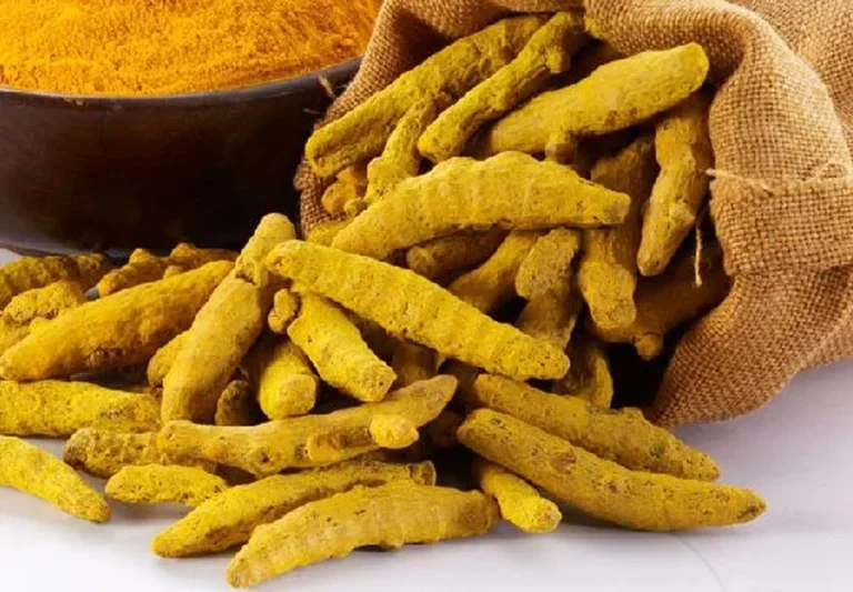 Premium Turmeric Finger – Naturally Golden Whole Spice